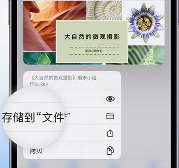 新建apple维修中心分享iPhone文件应用中存储和找到下载文件