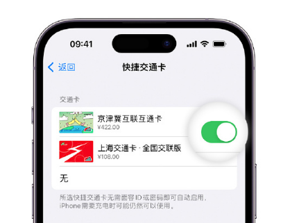 新建apple维修点分享iPhone上更换Apple Pay快捷交通卡手绘卡面 