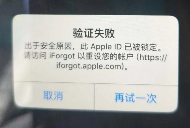 新建iPhone维修分享iPhone上正常登录或使用AppleID怎么办 