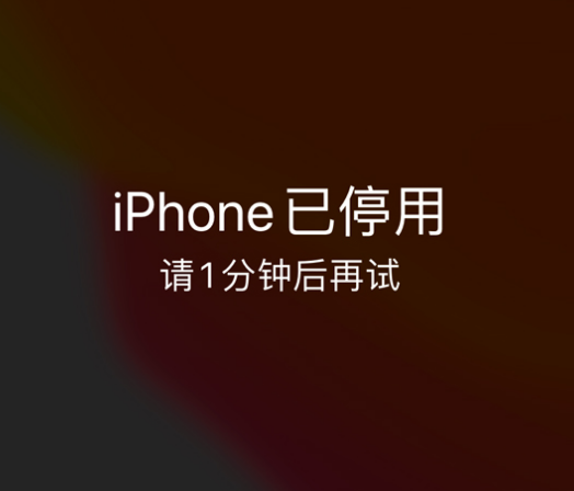 新建苹果手机维修分享:iPhone 显示“不可用”或“已停用”怎么办？还能保留数据吗？ 