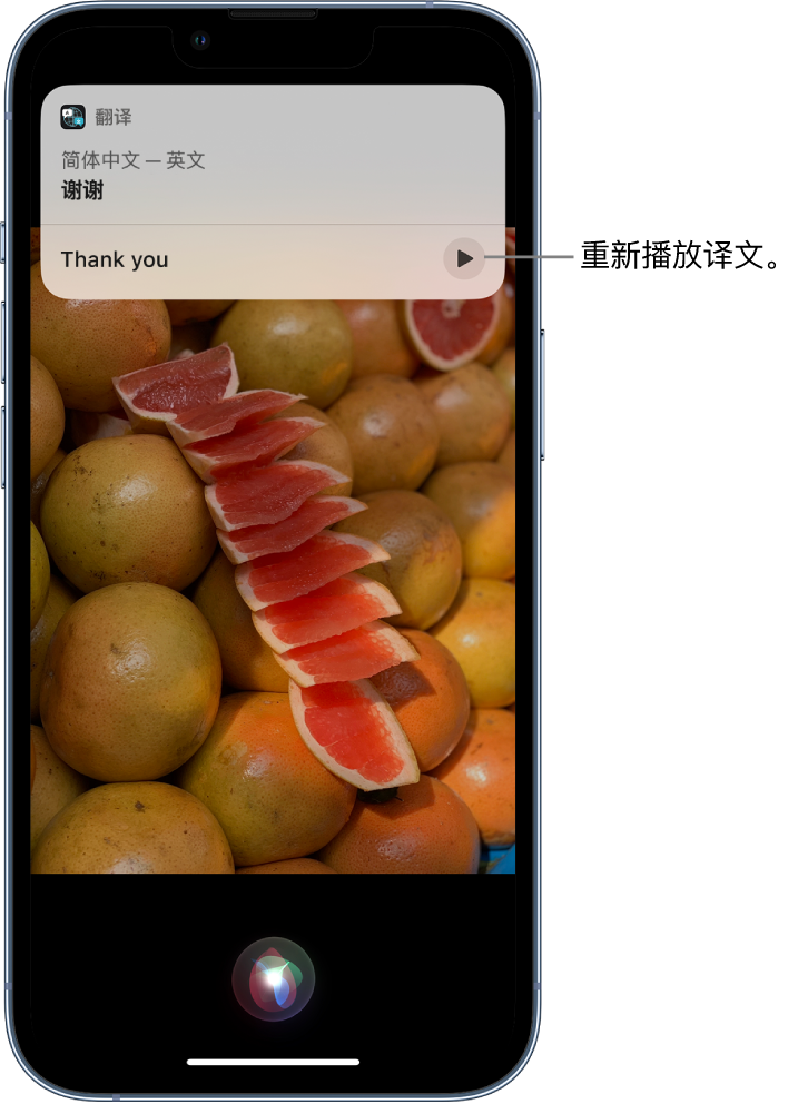 新建苹果14维修分享 iPhone 14 机型中使用 Siri：了解 Siri 能帮你做什么 