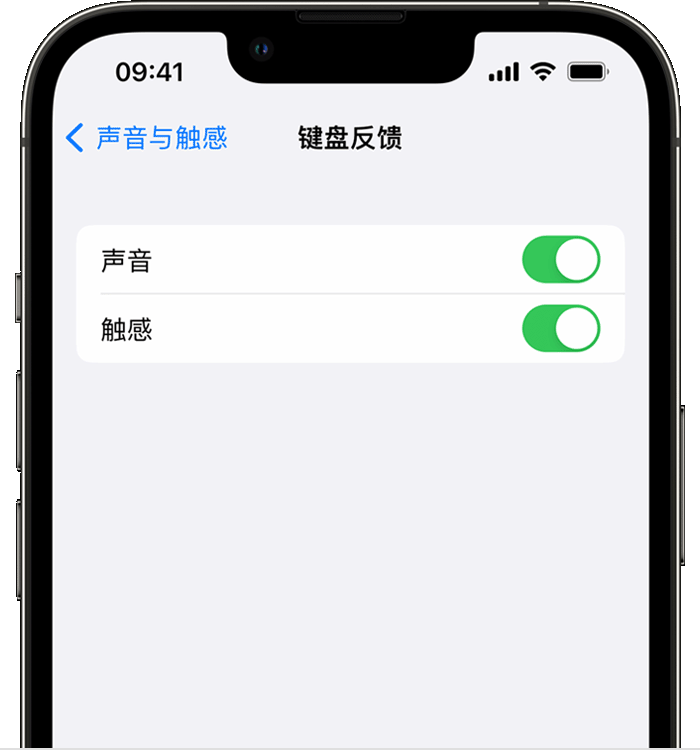 新建苹果14维修分享iPhone 14 系列机型如何开启键盘声音或触感反馈 