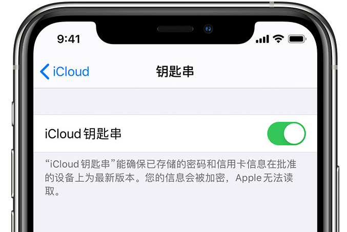 新建苹果手机维修分享在 iPhone 上开启 iCloud 钥匙串之后会储存哪些信息 