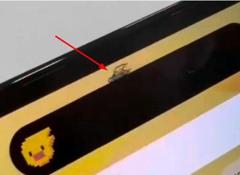新建苹果14维修分享iPhone 14 Pro Max灵动岛怎么养宠物 