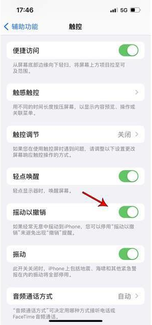 新建苹果手机维修分享iPhone手机如何设置摇一摇删除文字 