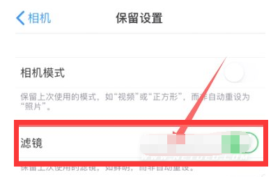 新建苹果13维修分享iPhone13拍照有绿点是怎么回事 