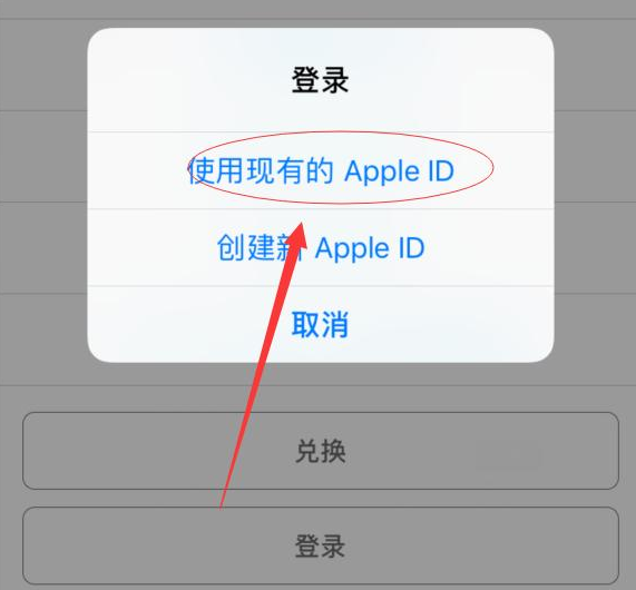 新建苹果手机维修分享两台iPhone设备可以同时登录一个Apple ID吗 