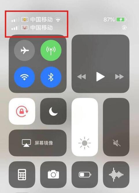 新建苹果手机维修分享为 iPhone 12 双卡设置标签 